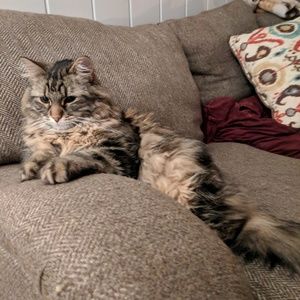 Meet your Posher, Erin